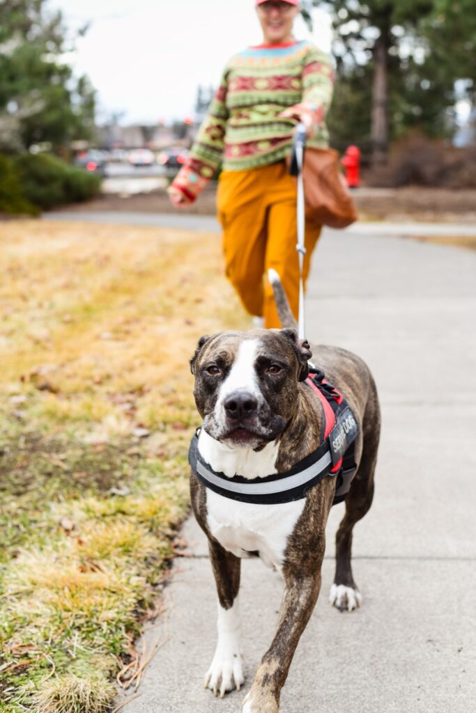 Get help from others as an alternative to walking your dog